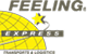 feeling express logo